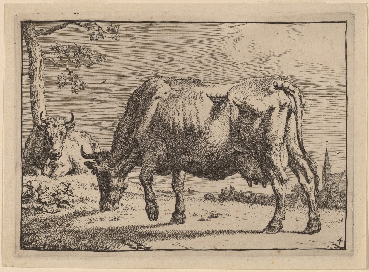 Mucca al pascolo da Paulus Potter