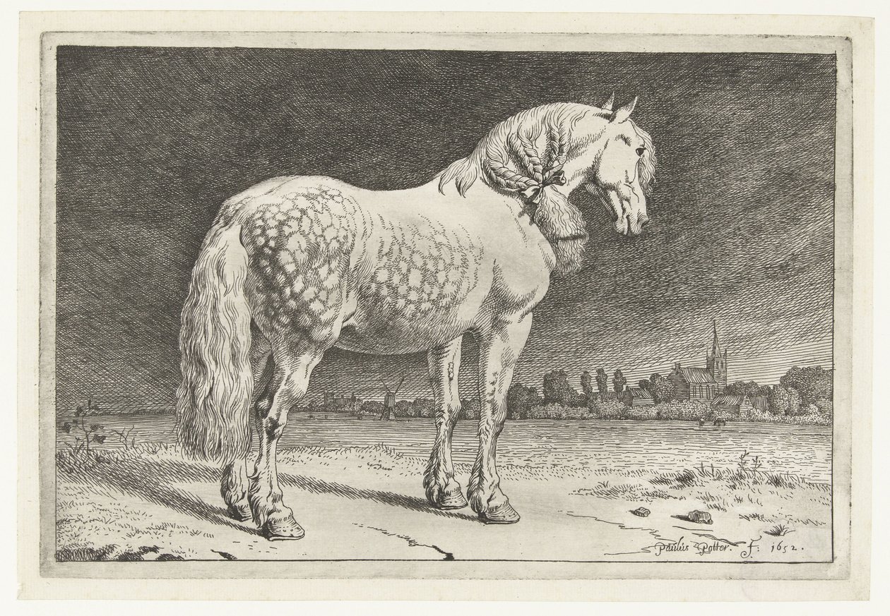 Il cavallo frisone da Paulus Potter
