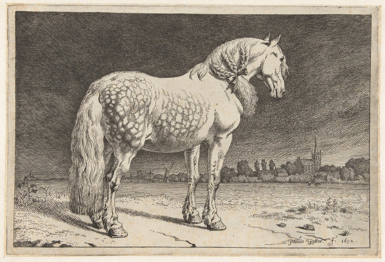 Il cavallo frisone da Paulus Potter
