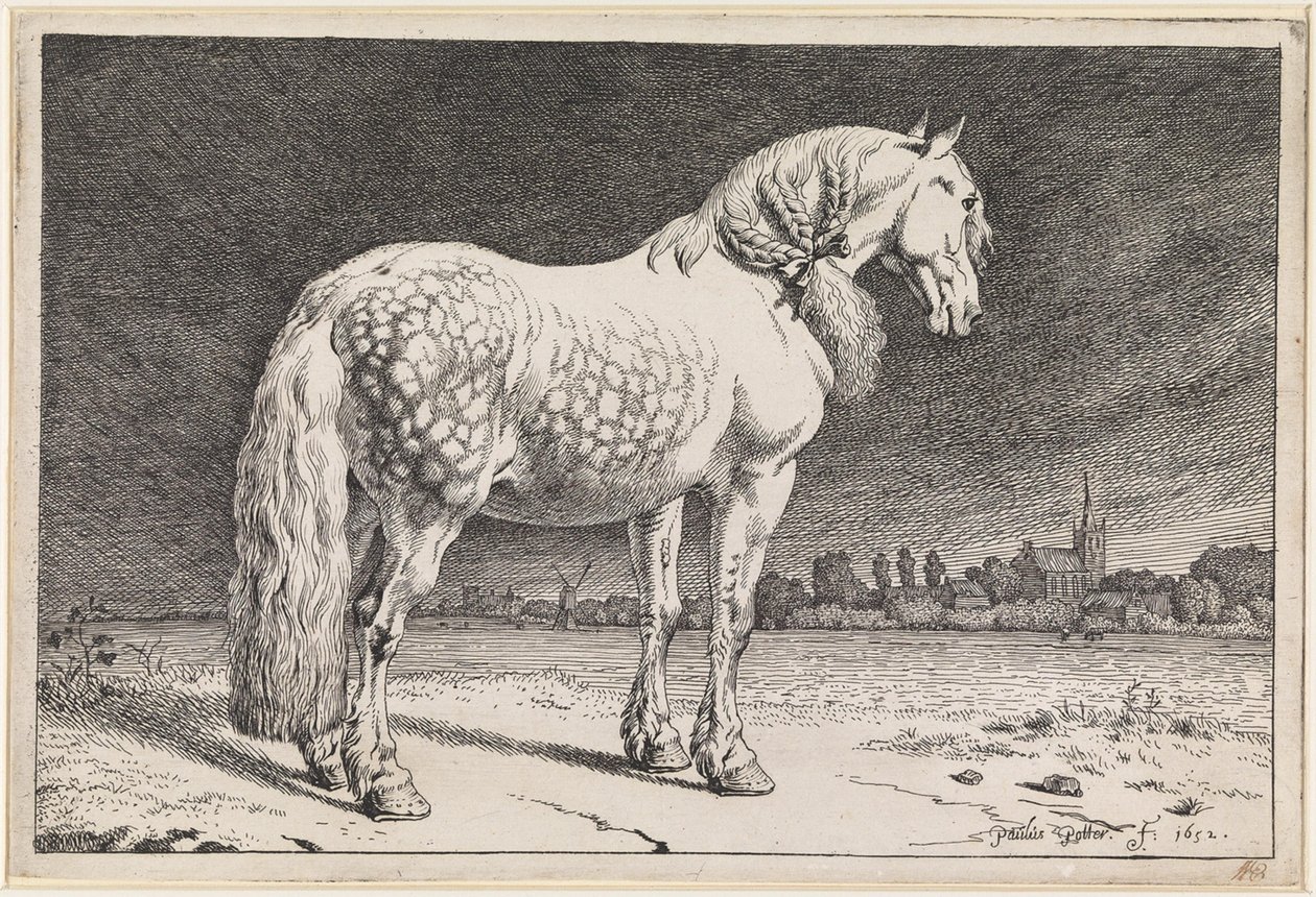 Il cavallo frisone da Paulus Potter