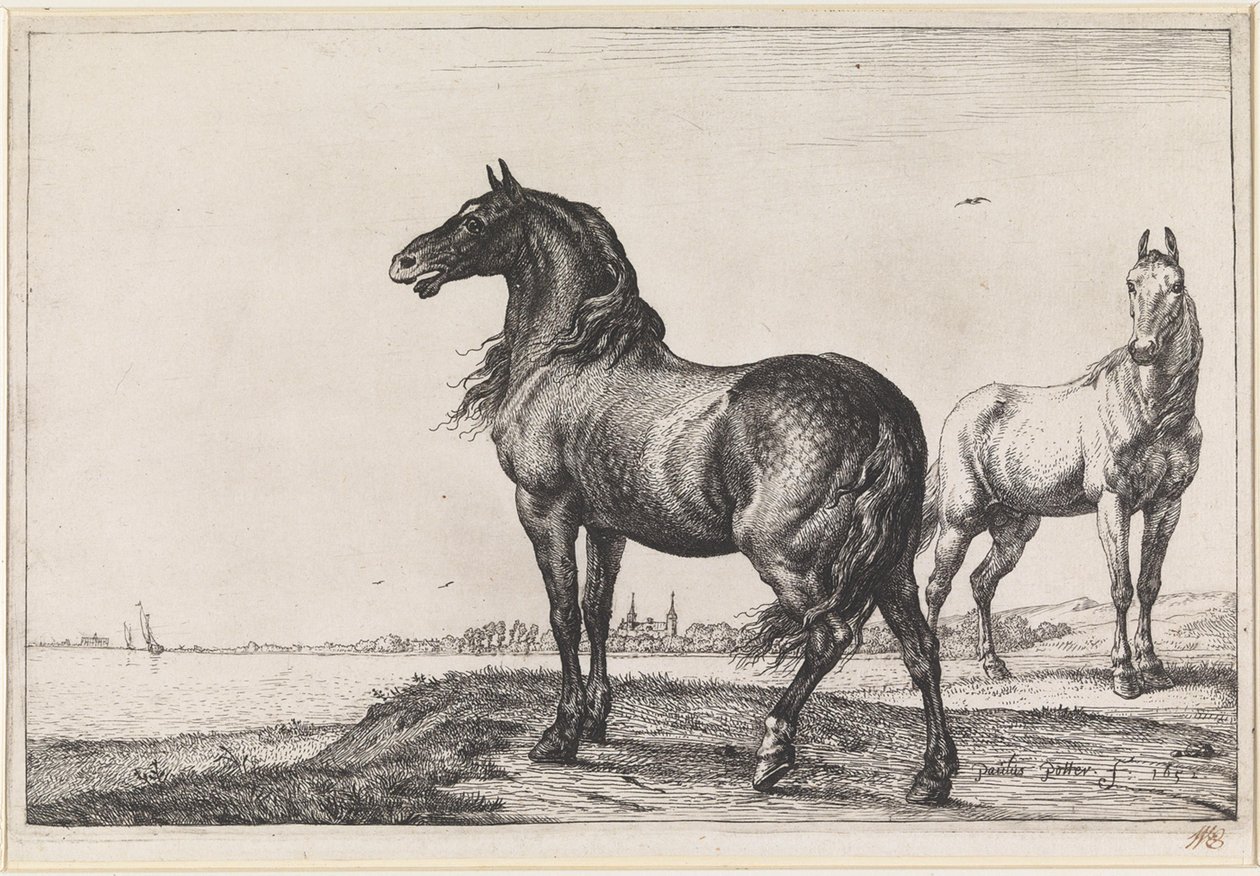 Cavallo che nitrisce da Paulus Potter