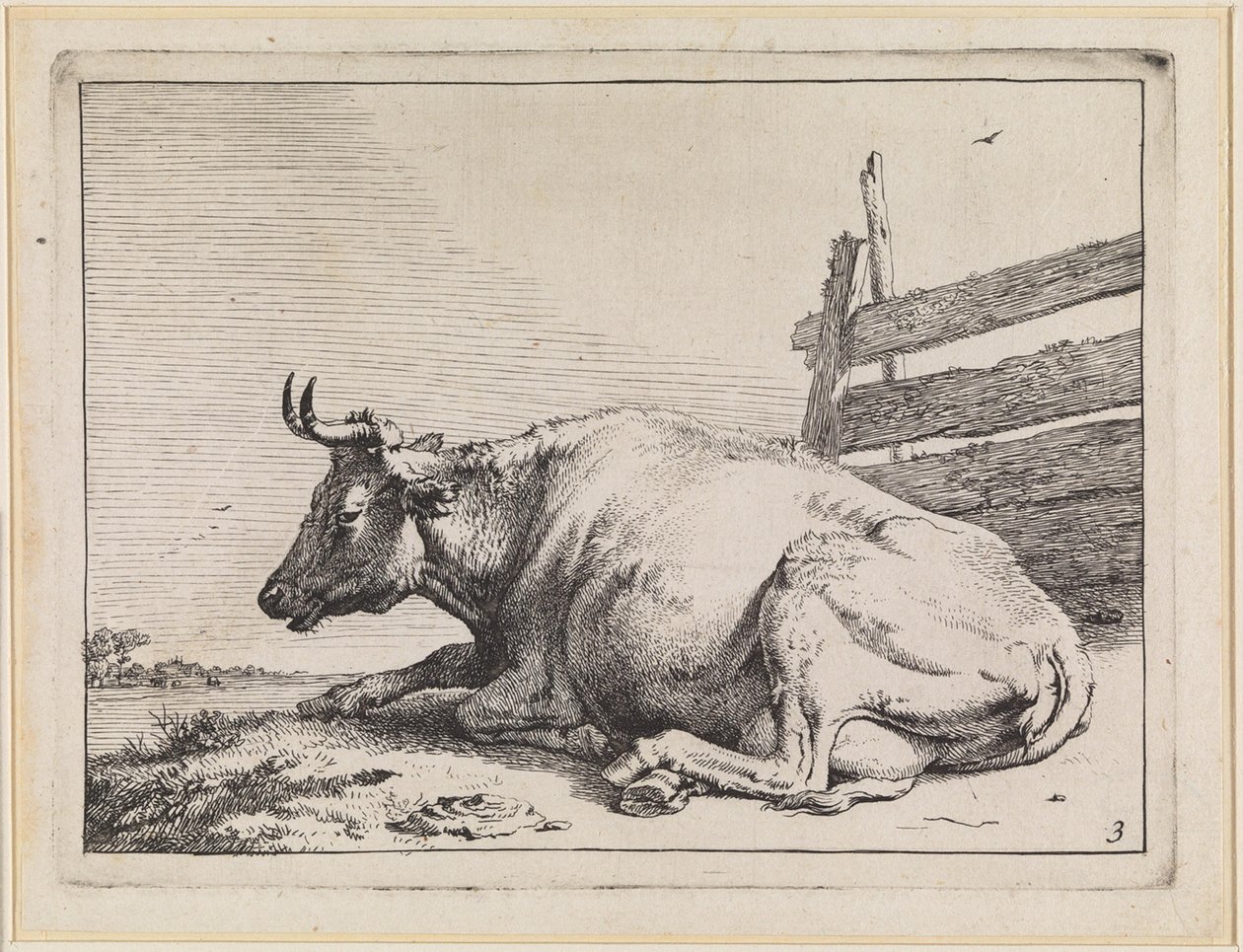 Mucca sdraiata presso una recinzione da Paulus Potter