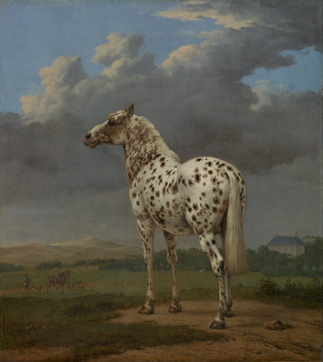 Cavallo pezzato, ca 1654 da Paulus Potter