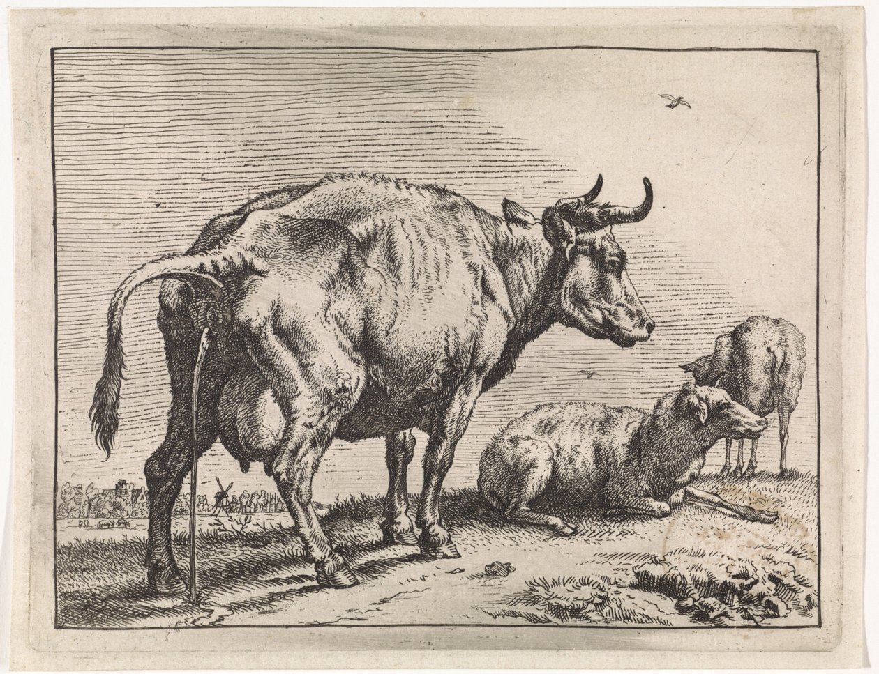 Mucca che urina Il Bullenboekje (titolo della serie) da Paulus Potter