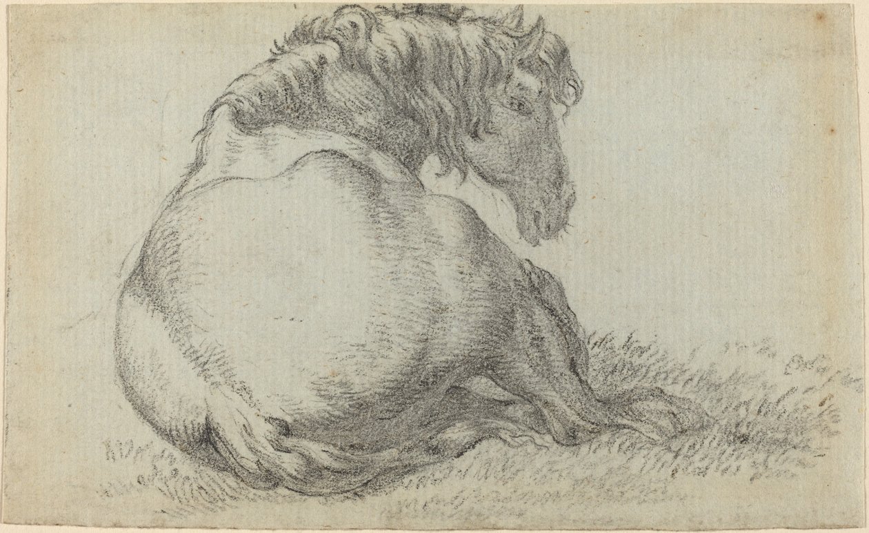 Cavallo a riposo da Paulus Potter