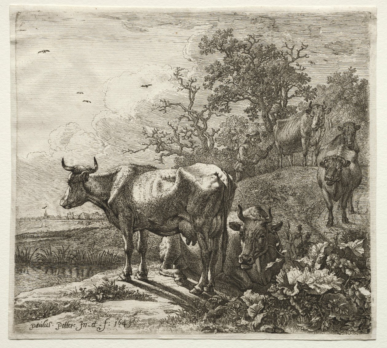Il mandriano da Paulus Potter
