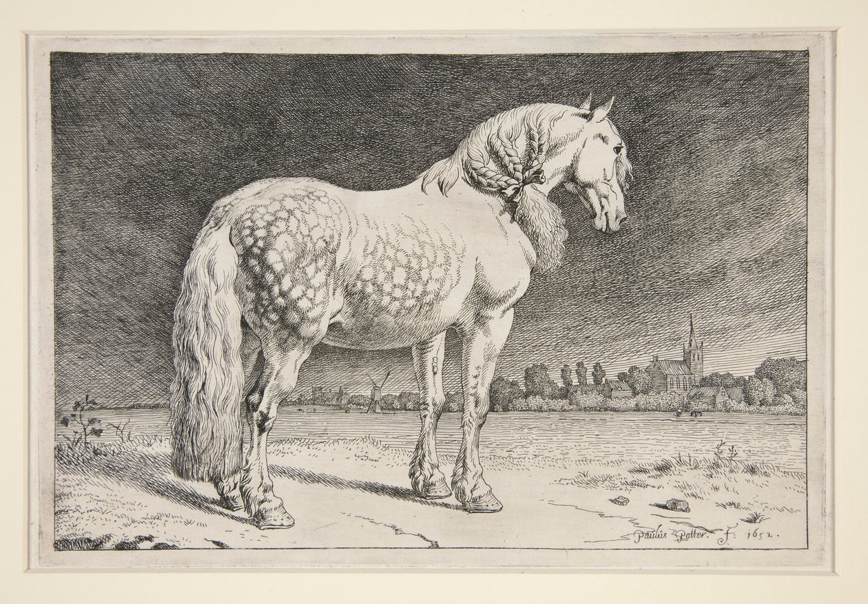 Il cavallo frisone da Paulus Potter