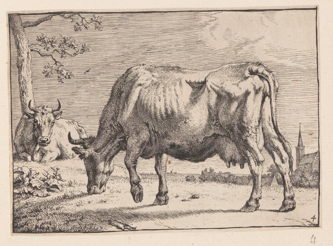 La mucca al pascolo, da Vari buoi e mucche da Paulus Potter