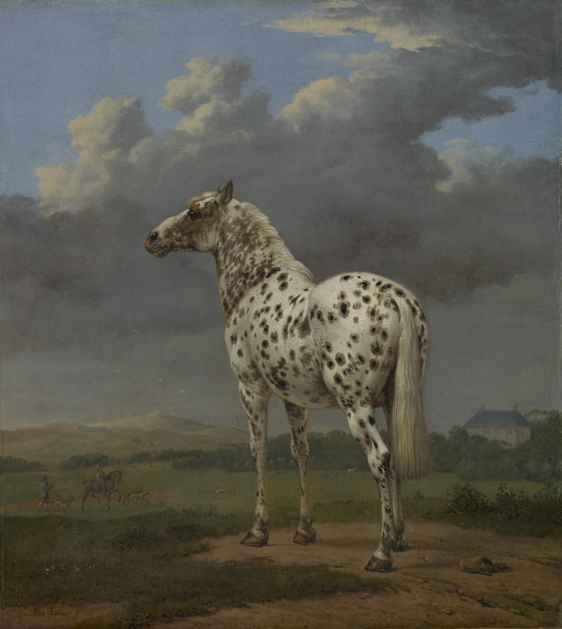 Il cavallo pezzato da Paulus Potter