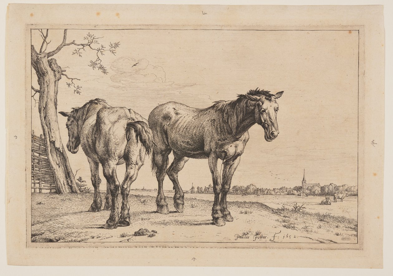 Il cavallo dell