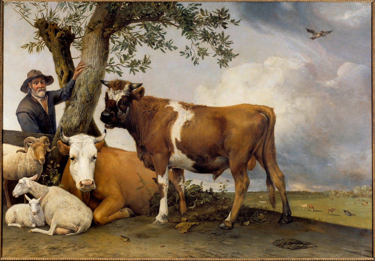 Il giovane toro. Un pastore e il suo bestiame, montone, agnello, mucca e toro. L