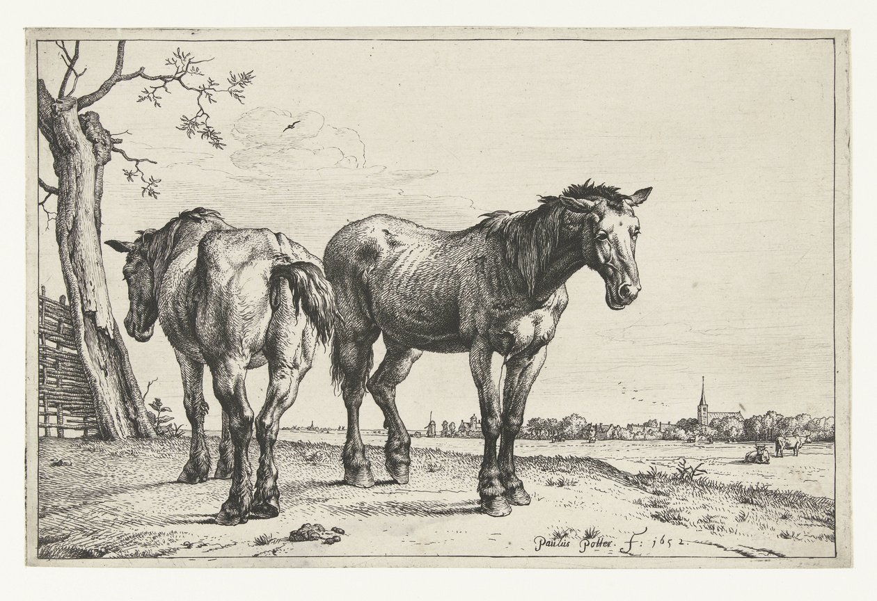 Due cavalli da tiro Cavalli (titolo della serie) da Paulus Potter