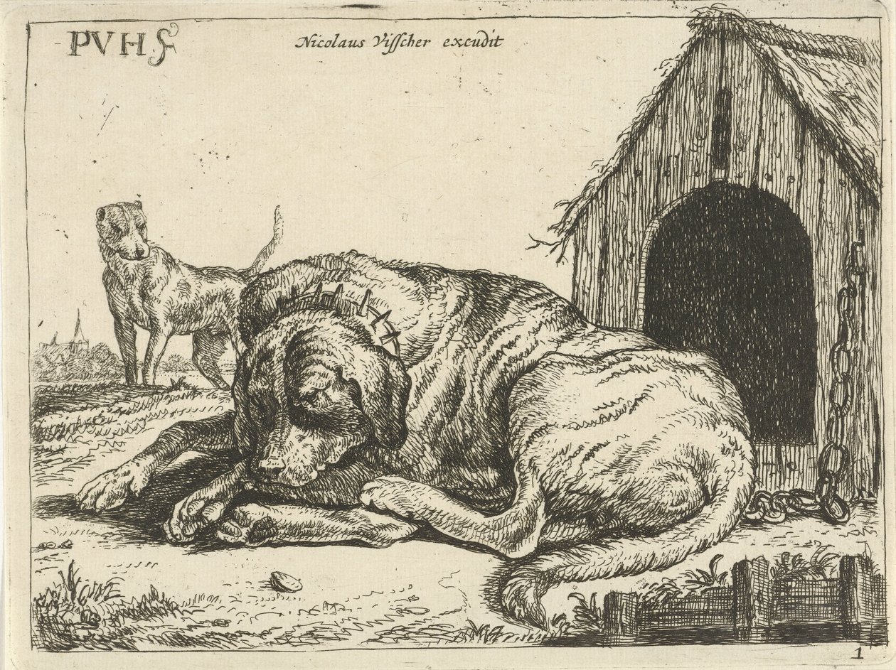 Cane sdraiato con catena da Pauwels van Hillegaert