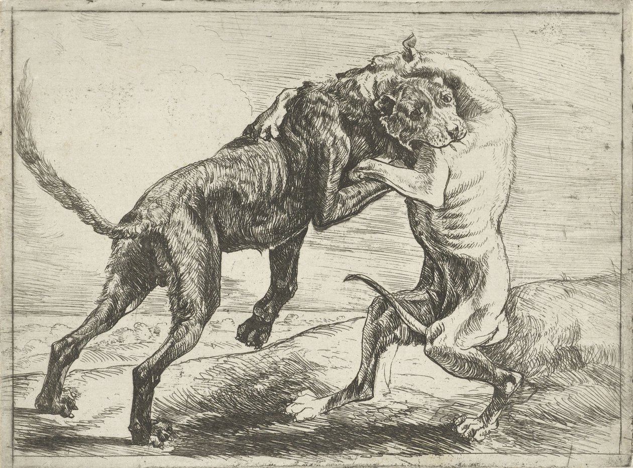 Due cani che combattono (Cani) da Pauwels van Hillegaert