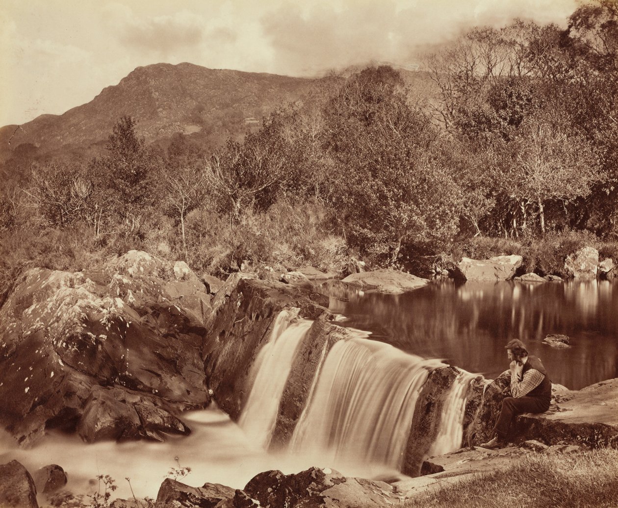 Cascata, contea di Wicklow, c. 1870 (foto) da Payne Jennings