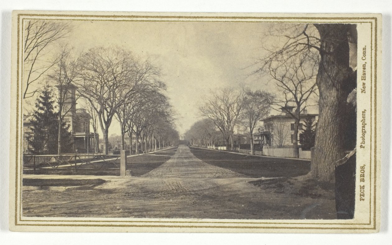 Viale Hillhouse da Peck Brothers