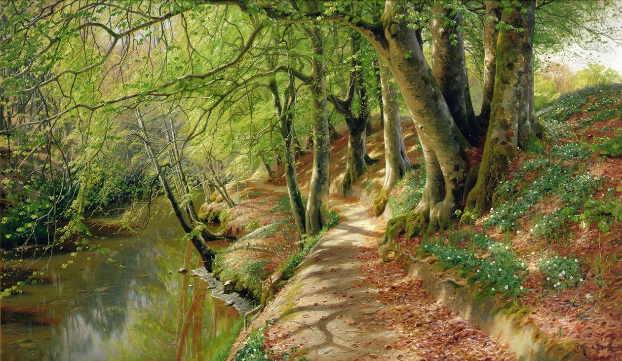Paesaggio fluviale boscoso (olio su tela) da Peder Monsted