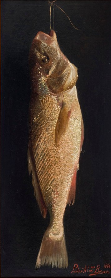 Pesce da Pedro Alexandrino Borges
