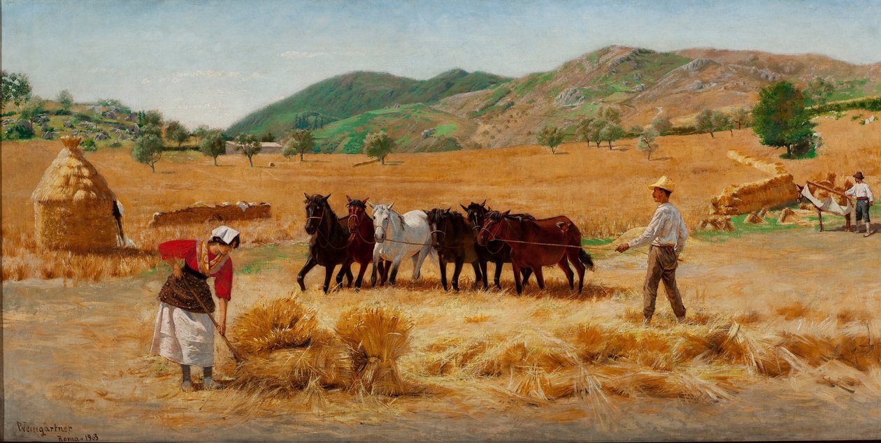 Raccolto ad Anticoli da Pedro Weingärtner