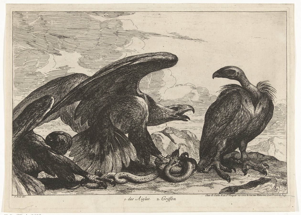 Avvoltoio e aquila con serpente da Peeter Boel (attributed to)