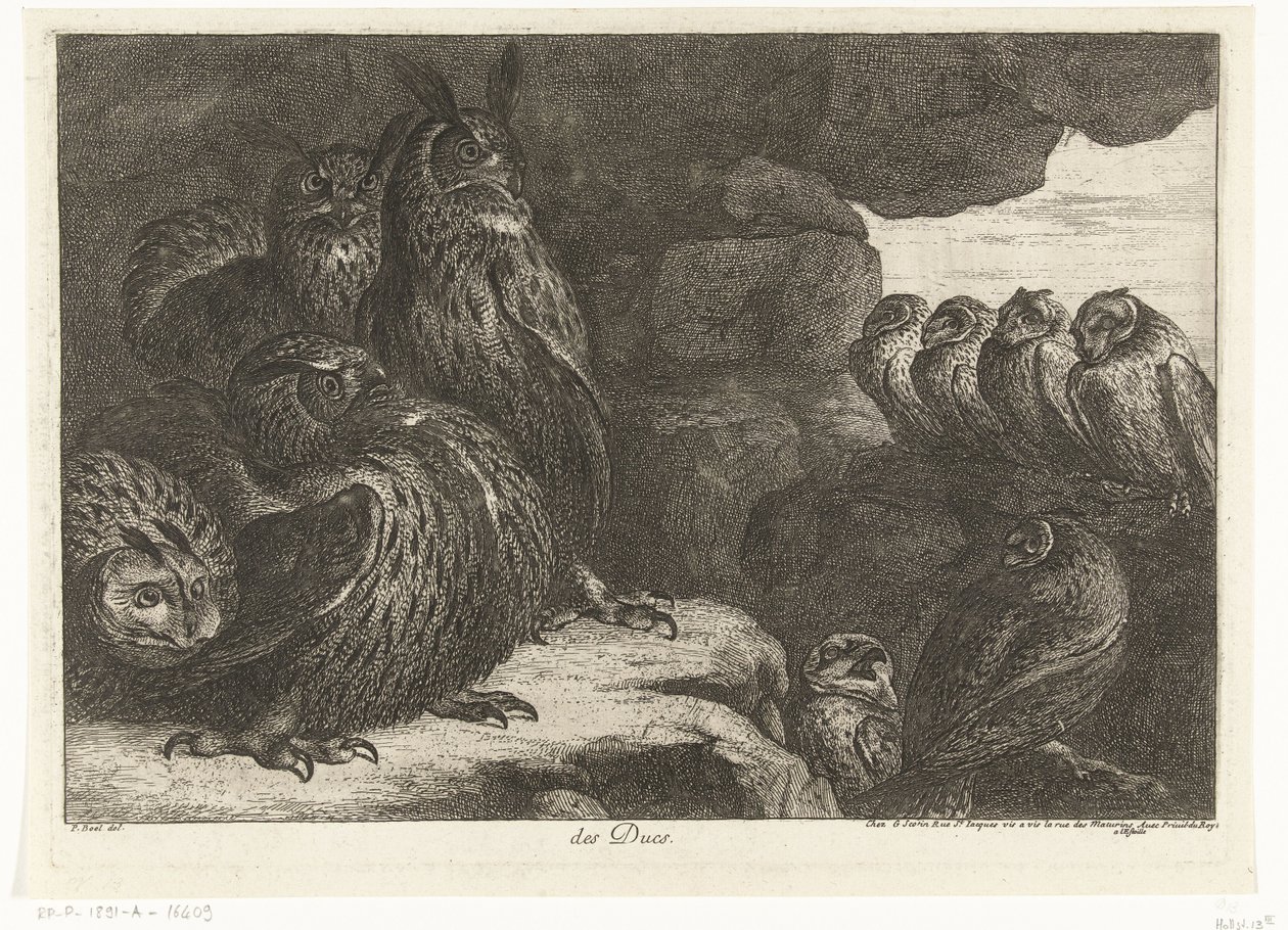 Gufi in una grotta (Uccelli dalla menagerie di Versailles) da Peeter Boel (attributed to)