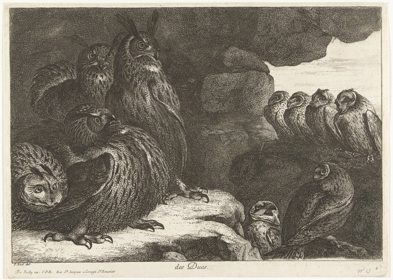 Gufi in una grotta da Peeter Boel (attributed to)