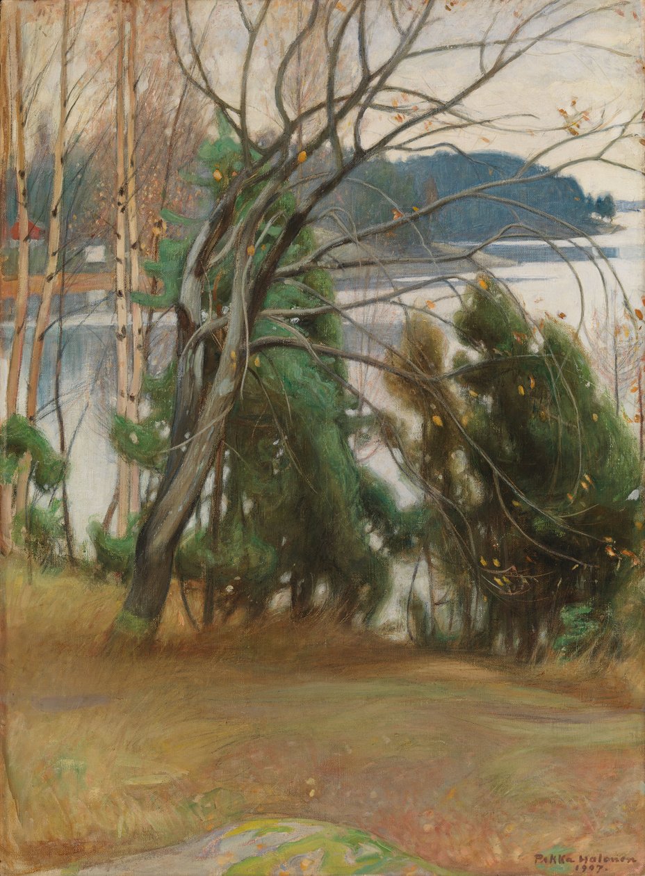 Salice selvatico in autunno da Pekka Halonen