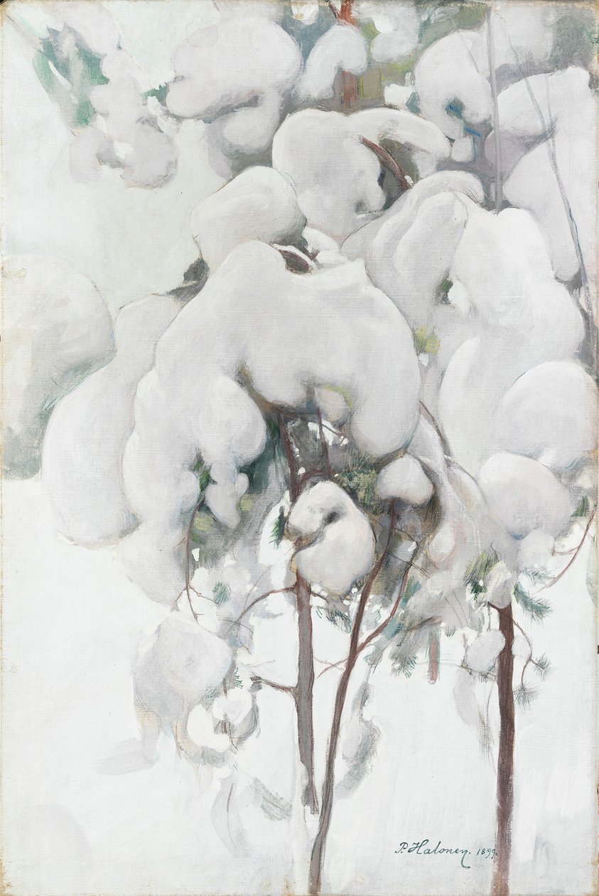 Giovani pini coperti di neve da Pekka Halonen