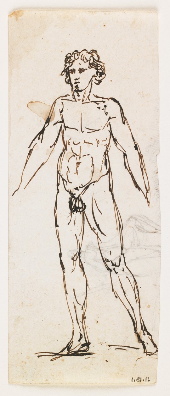 Nudo maschile in piedi da Pelagio Palagi