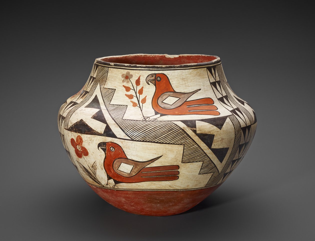 Vaso (Olla) con pappagalli da People Acoma