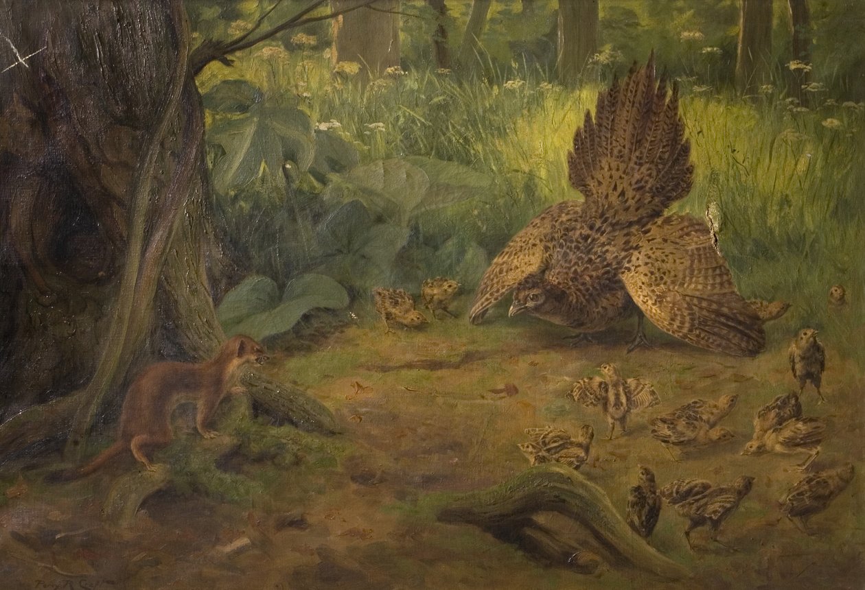 Difesa non sfida, inizio XX secolo da Percy Robert Craft