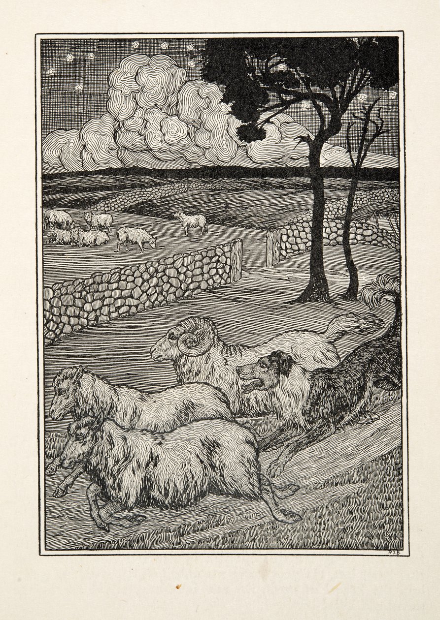Un ladro di pecore canino, da A Hundred Anecdotes of Animals, pub. 1924 da Percy J. Billingshurst