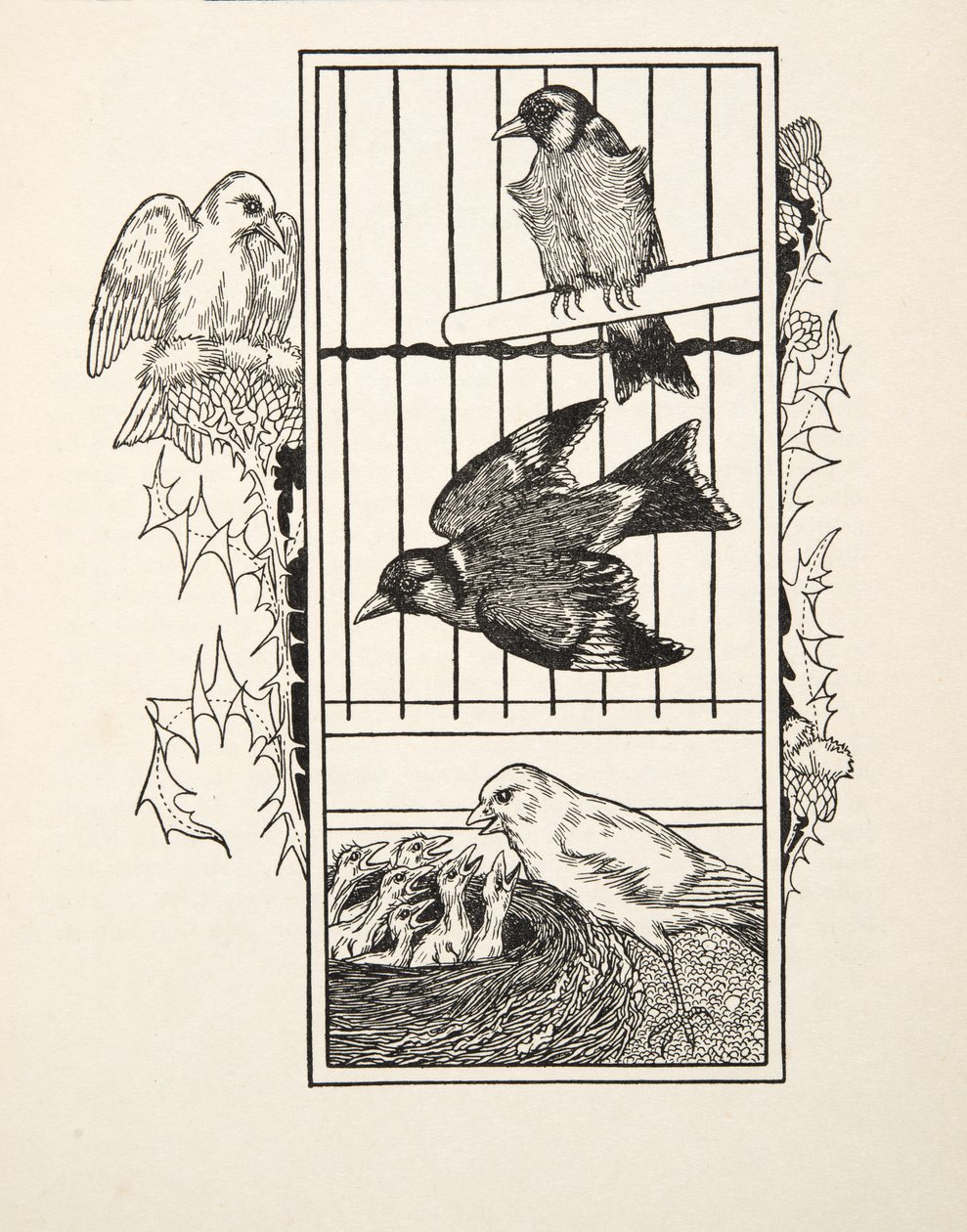 Un canarino caritatevole, da Cento aneddoti di animali, pub. 1924 da Percy J. Billingshurst