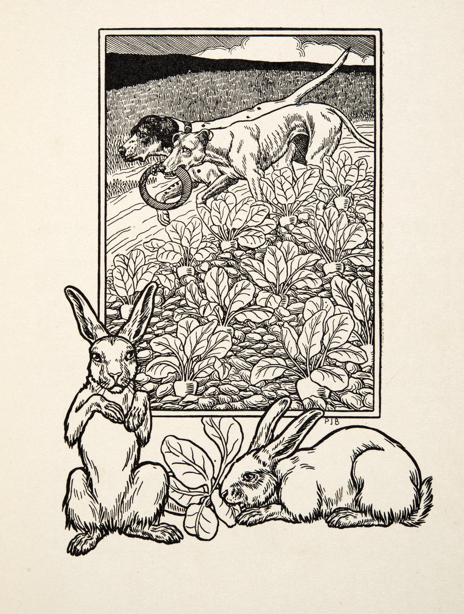 Una coppia astuta, da Cento aneddoti di animali, pub. 1924 da Percy J. Billingshurst