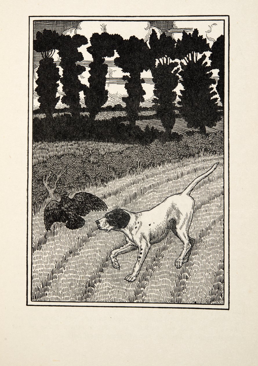 Ingannare il cacciatore, da Cento aneddoti di animali, pub. 1924 da Percy J. Billingshurst