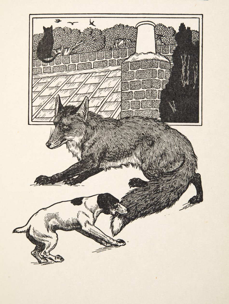 Caccia alla volpe, da Cento aneddoti di animali, pub. 1924 da Percy J. Billingshurst