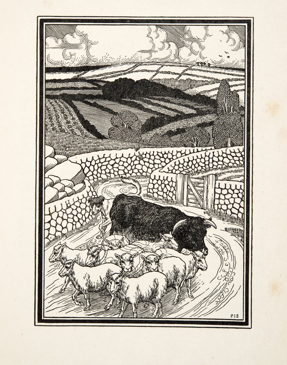 Andare al mercato, da Cento aneddoti di animali, pub. 1924 da Percy J. Billingshurst