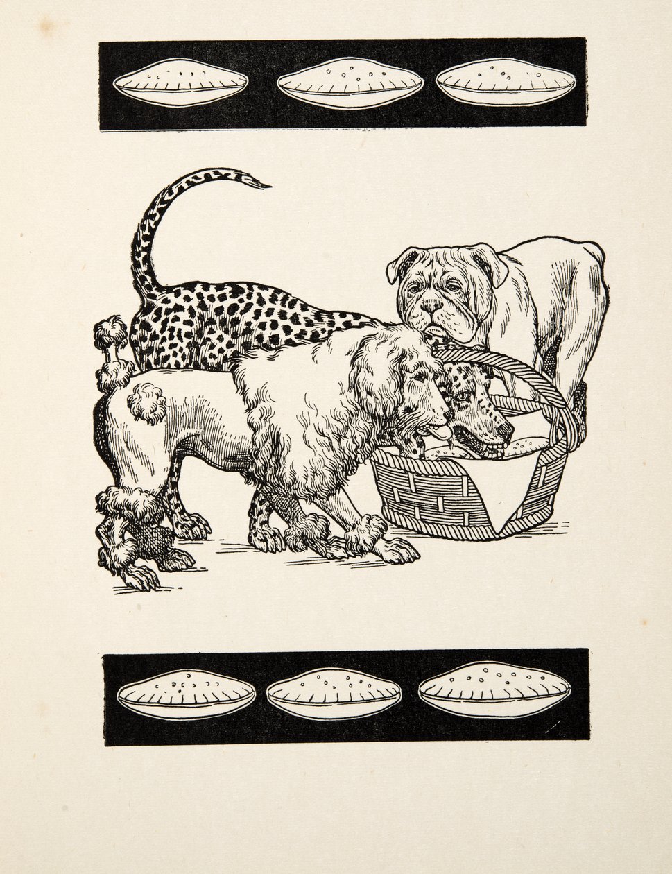 Di Due Mali Scegliere il Minore, da Cento Aneddoti di Animali, pub. 1924 da Percy J. Billingshurst