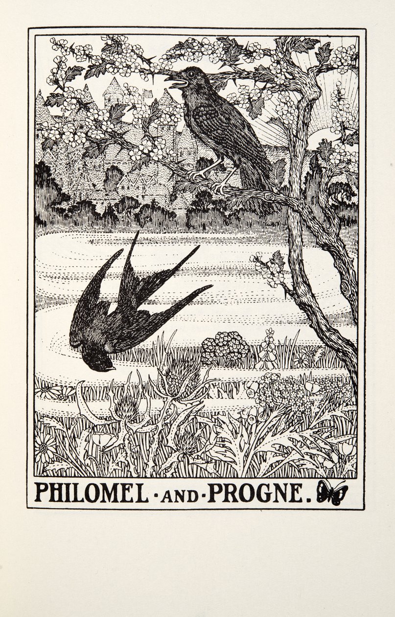 Filomela e Progne, dalle Favole di Fontaine da Percy J. Billingshurst