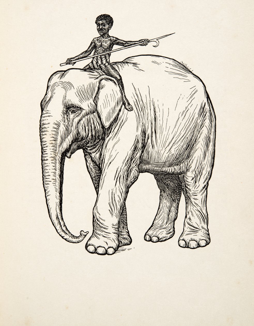 Rimorso, da A Hundred Anecdotes of Animals, pub. 1924 da Percy J. Billingshurst