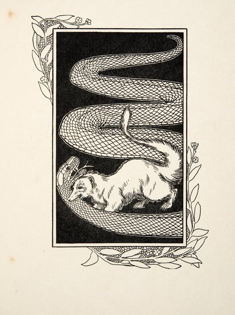 Distruttori di serpenti, da Cento aneddoti di animali, pub. 1924 (incisione) da Percy J. Billingshurst