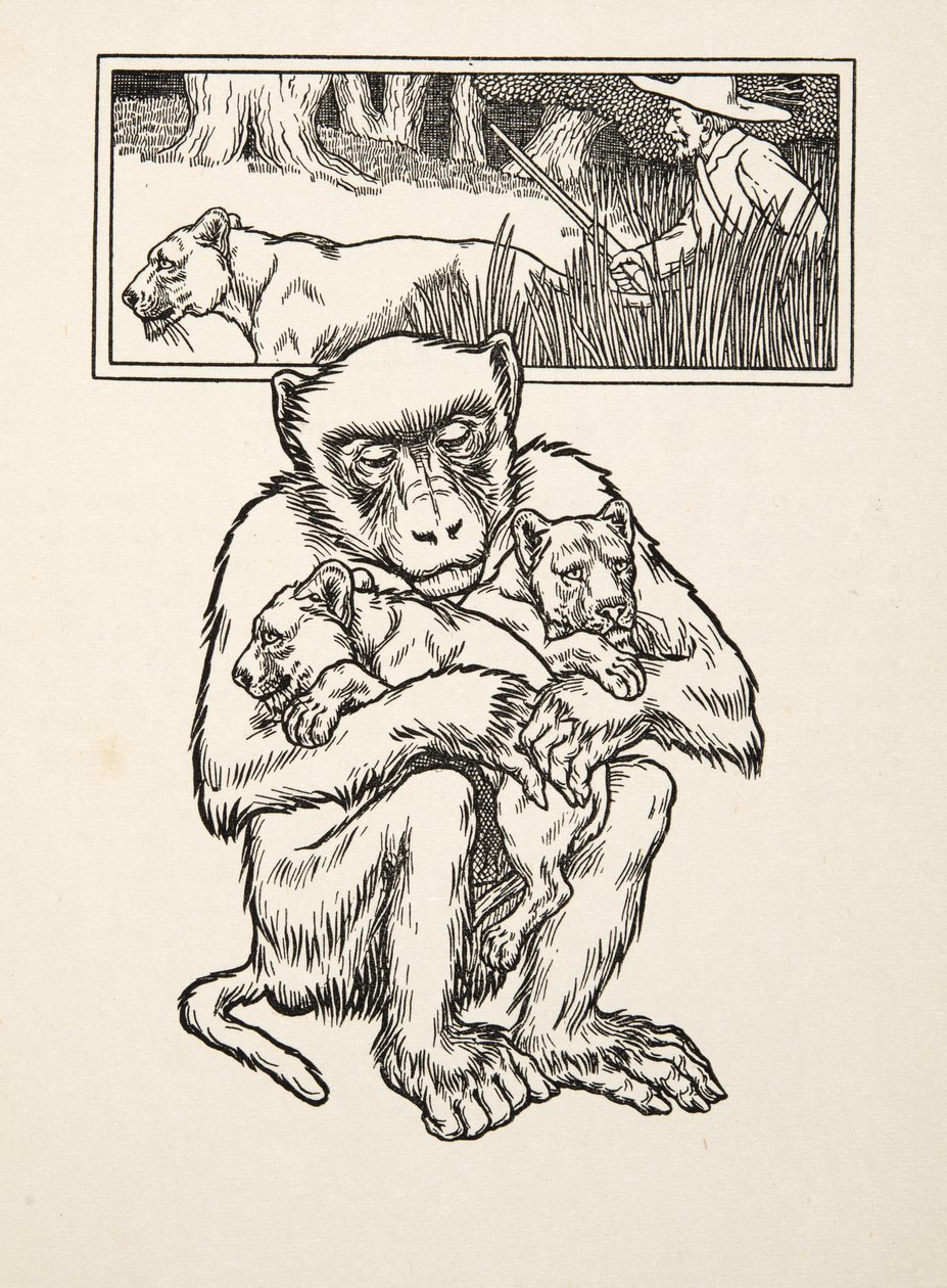 Richiesta di soccorso, da A Hundred Anecdotes of Animals, pub. 1924 da Percy J. Billingshurst