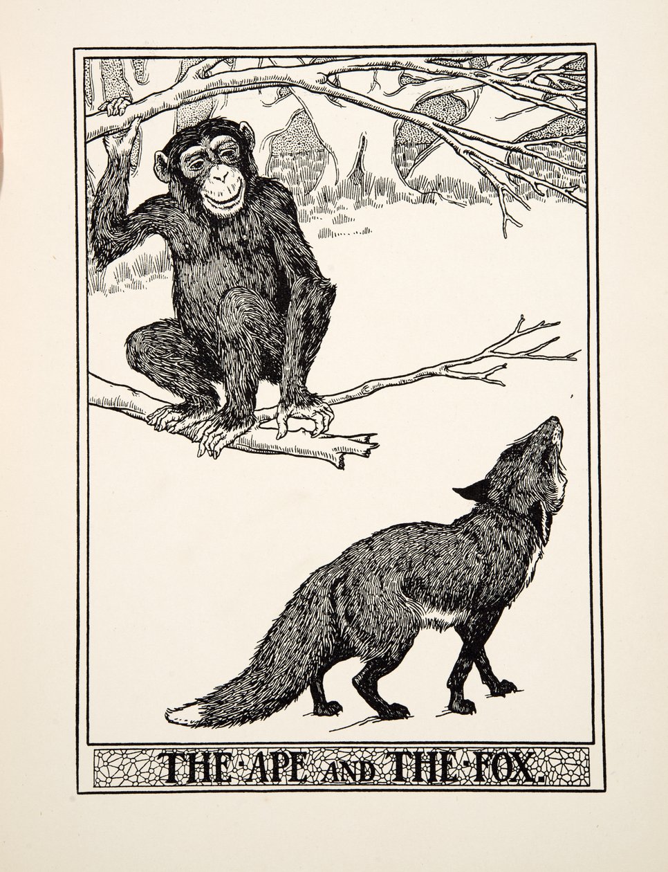 La Scimmia e la Volpe, da Cento Favole di Esopo, pub.1903 (incisione) da Percy J. Billingshurst