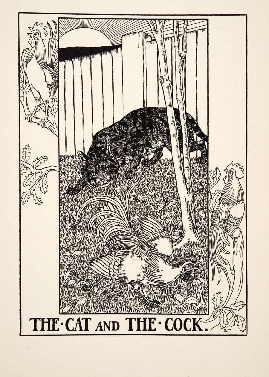 Il gatto e il gallo, da Cento favole di Esopo, pub.1903 da Percy J. Billingshurst