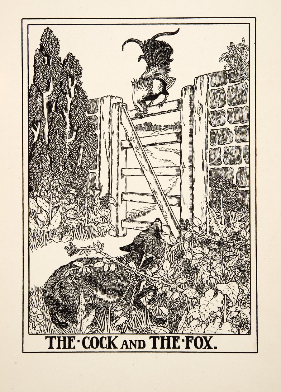 Il Gallo e la Volpe, da Cento Favole di Esopo, pub.1903 da Percy J. Billingshurst