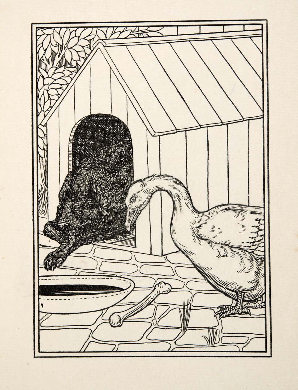 Il cane e l