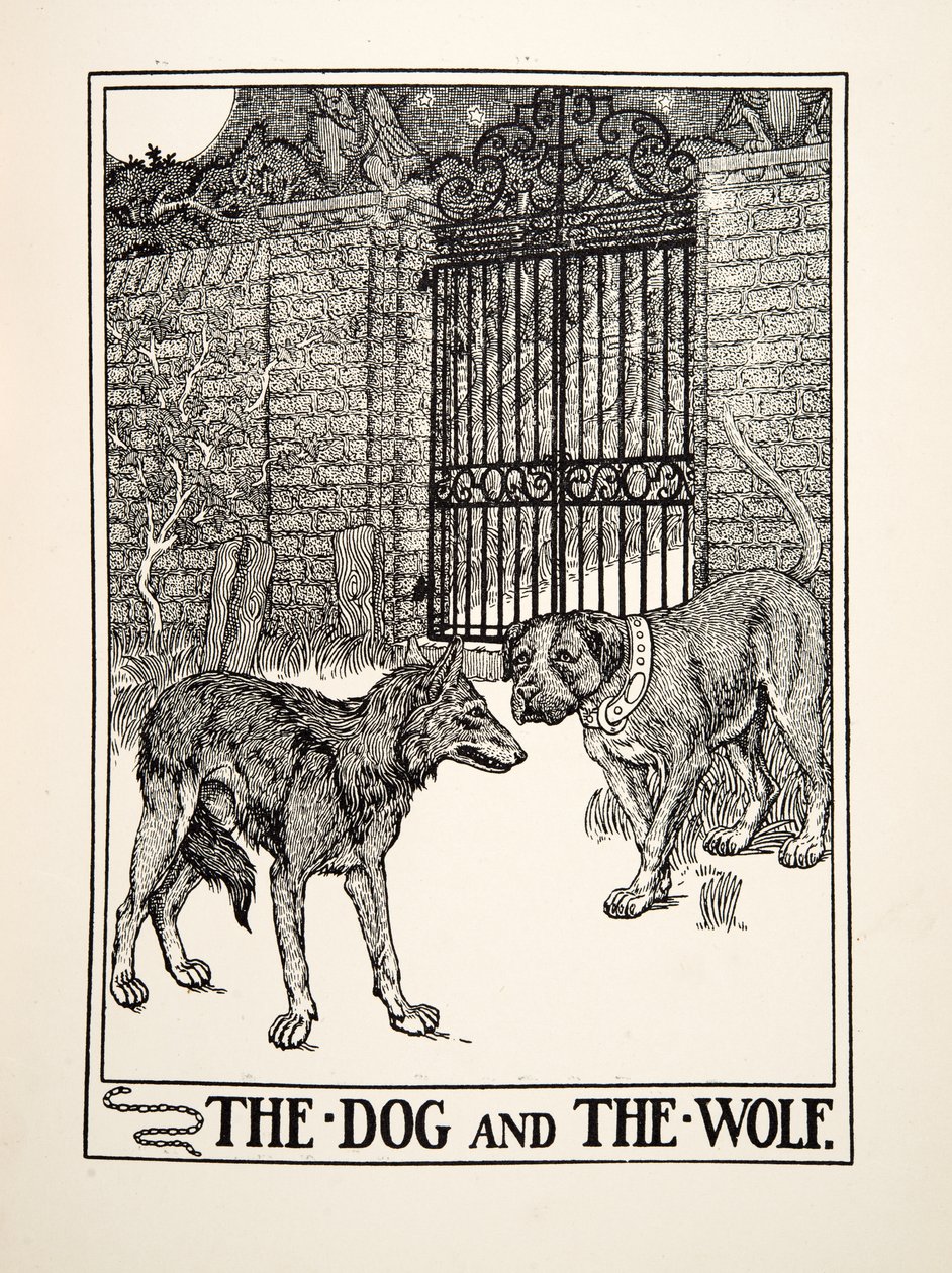 Il cane e il lupo, da Cento favole di Esopo, pub.1903 (incisione) da Percy J. Billingshurst