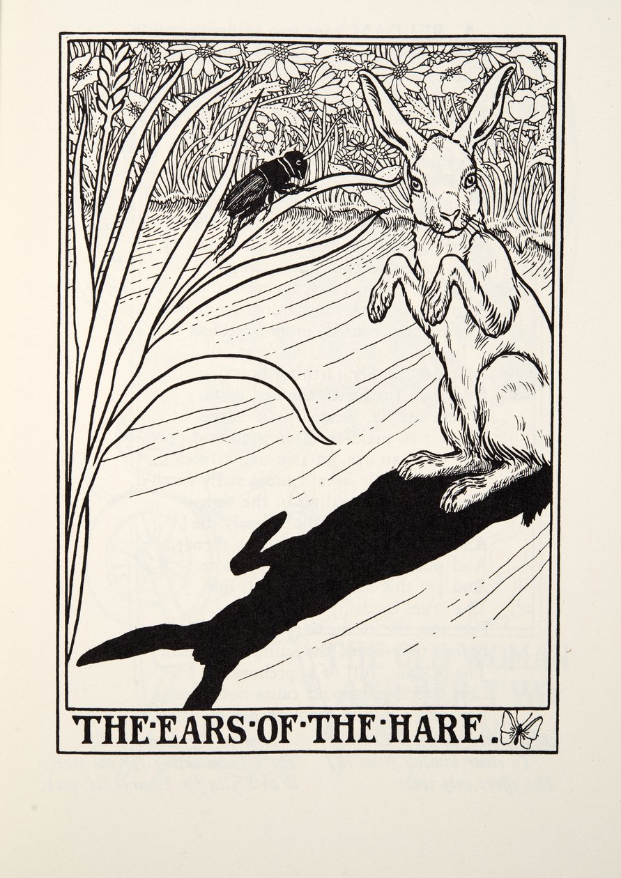 Le orecchie della lepre, dalle Favole di Fontaine, pub. 1905 da Percy J. Billingshurst