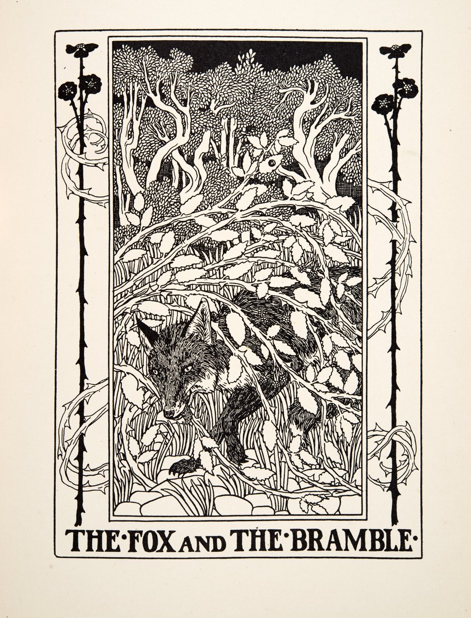 La Volpe e il Rovo, da Cento Favole di Esopo, pub.1903 da Percy J. Billingshurst