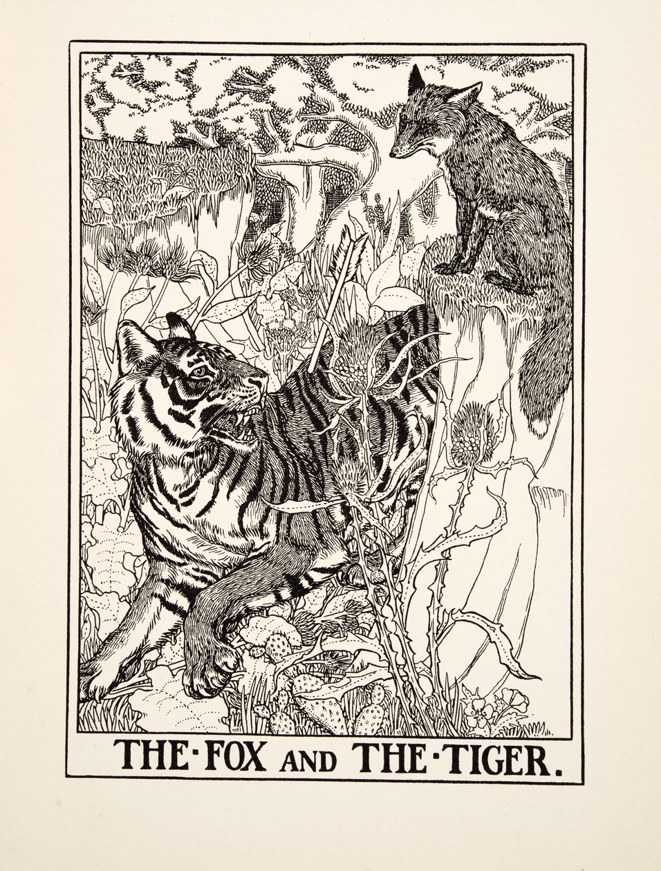 La Volpe e la Tigre, da Cento Favole di Esopo, pub. 1903 da Percy J. Billingshurst